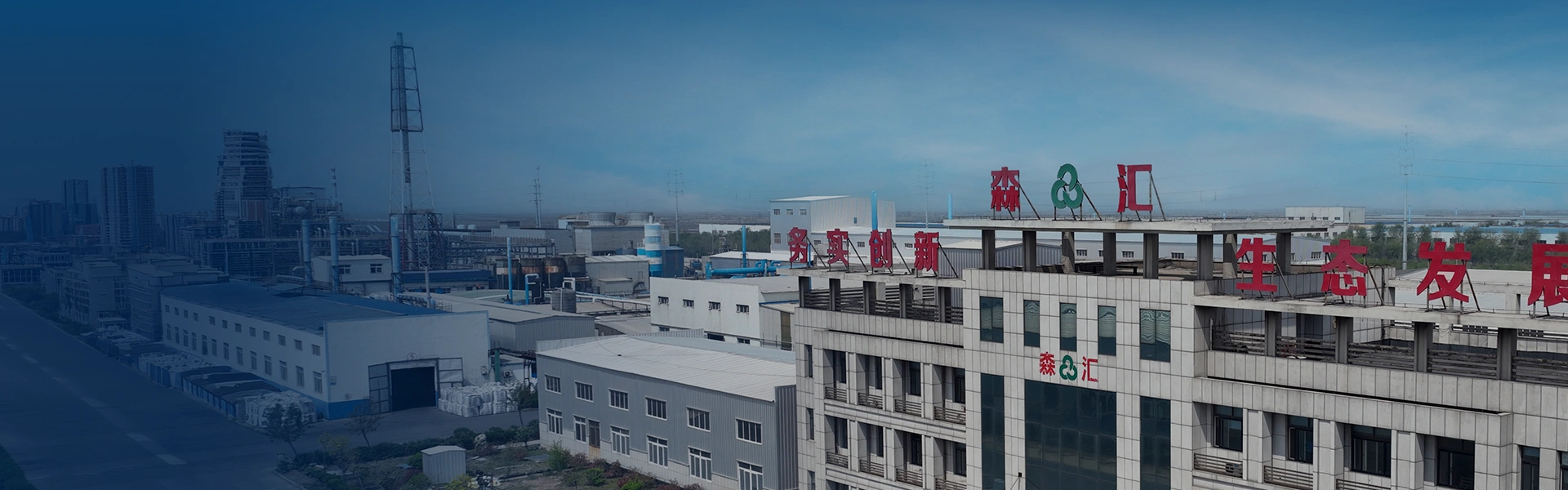 СЕНХУЙ — баннер